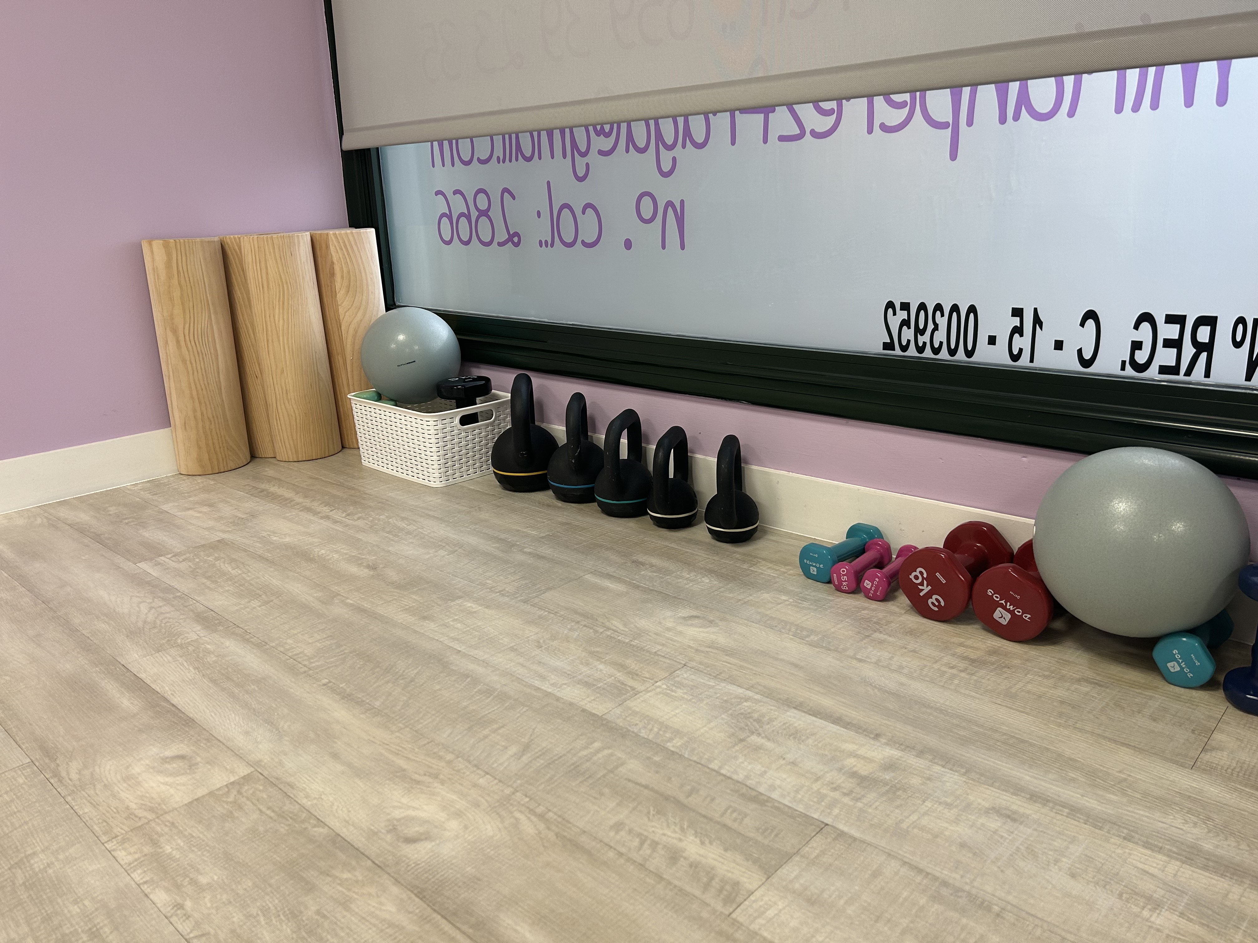 Fisioterapia